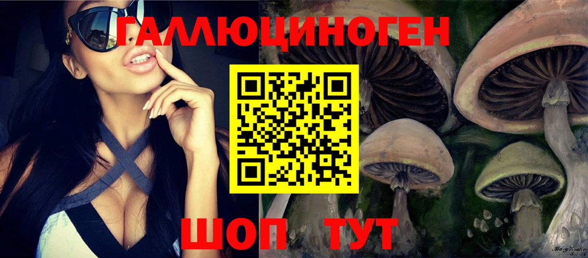 Галлюциногенные грибы Psilocybe  Вход с VPN  купить наркотики цена  Галлюциногенные грибы Magic Shrooms  Октябрьский 